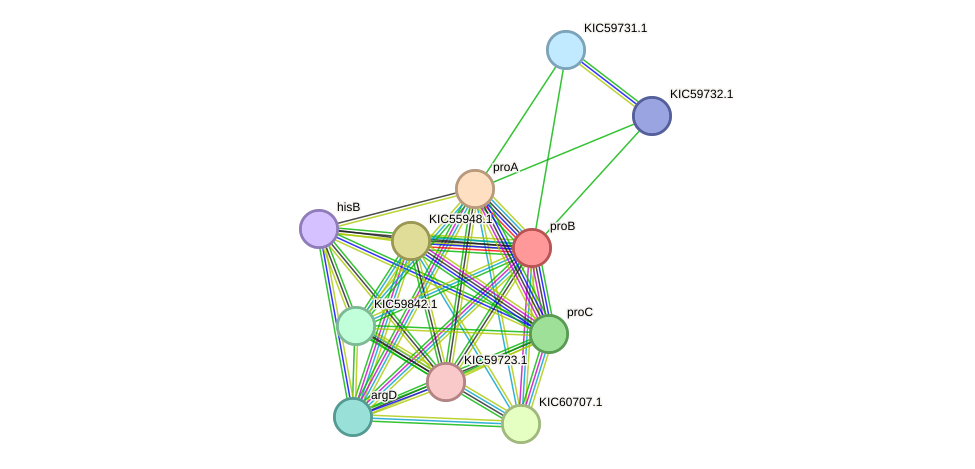 STRING protein interaction network