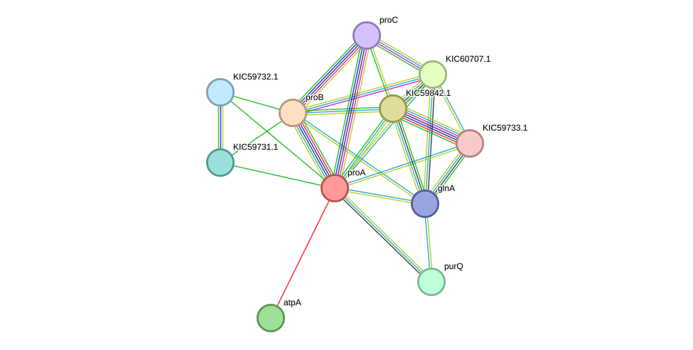 STRING protein interaction network