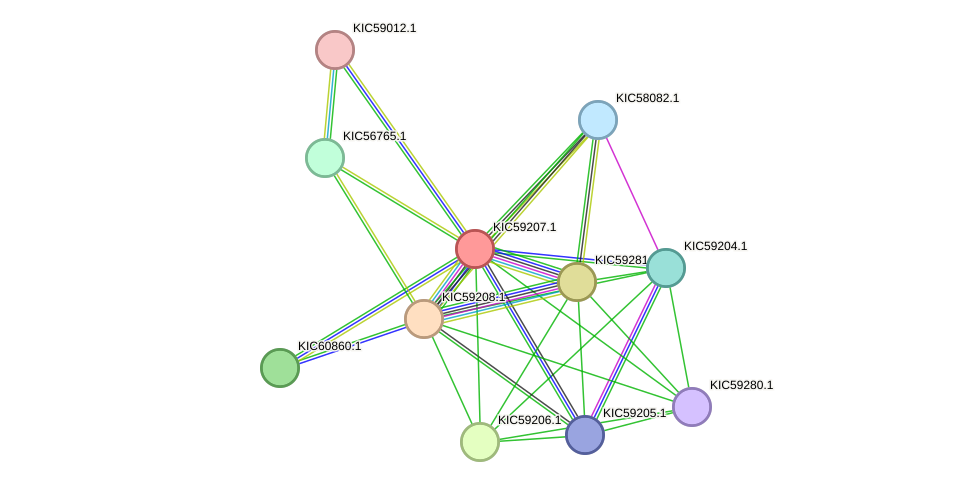 STRING protein interaction network