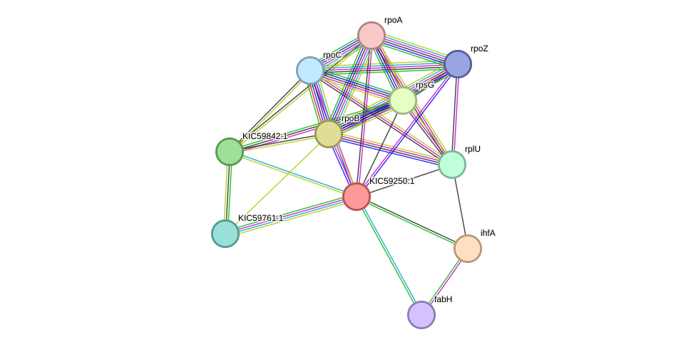 STRING protein interaction network