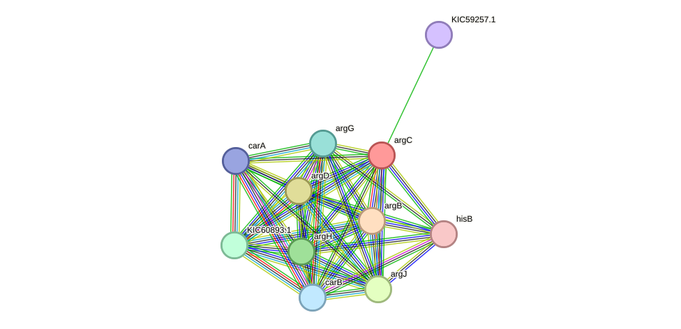 STRING protein interaction network
