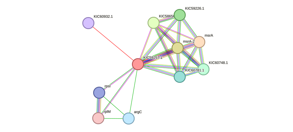 STRING protein interaction network