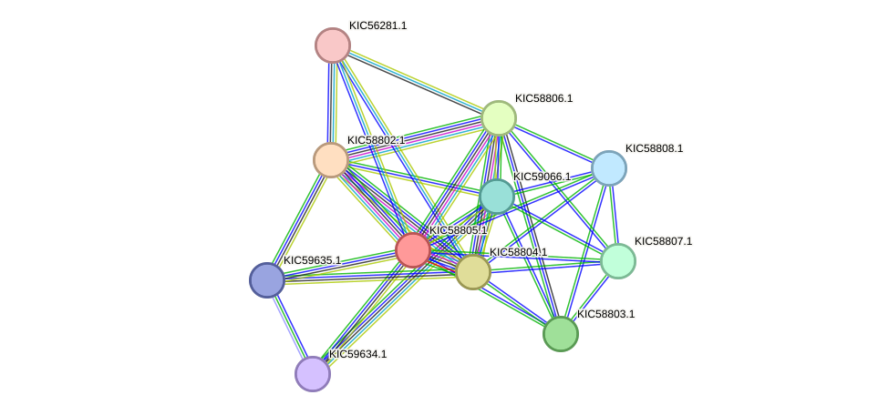 STRING protein interaction network