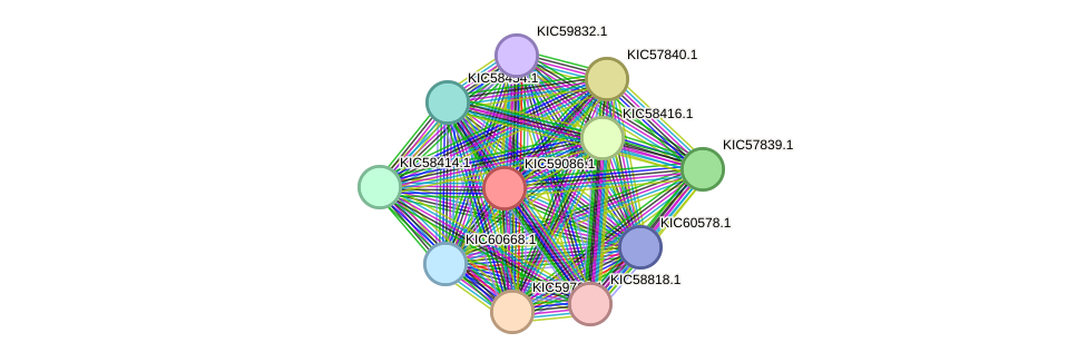 STRING protein interaction network