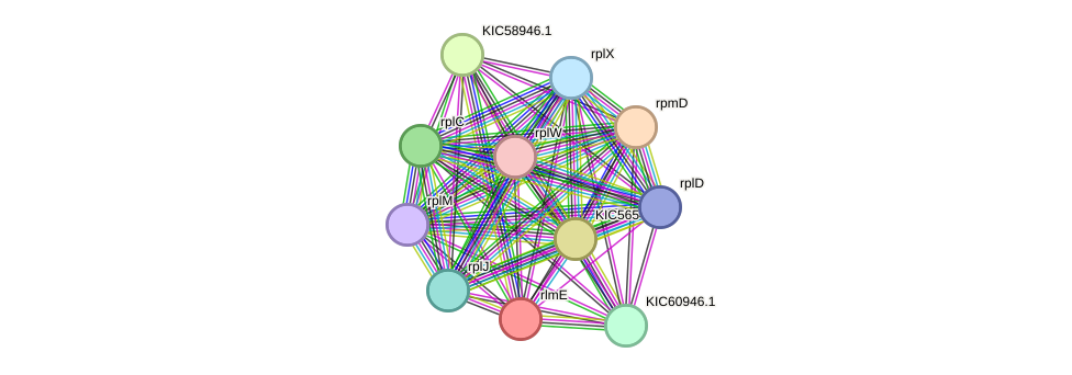 STRING protein interaction network