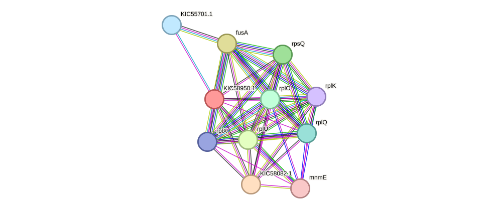 STRING protein interaction network