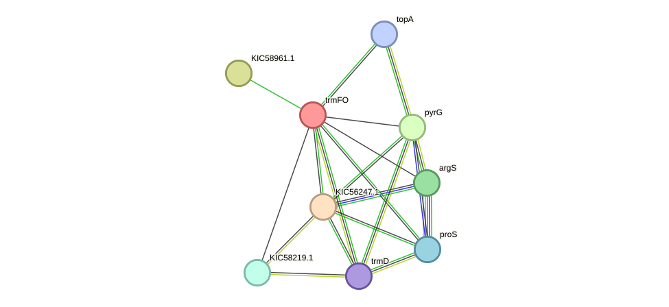 STRING protein interaction network