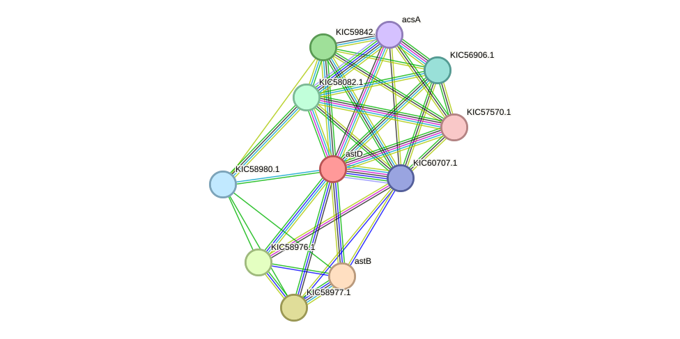 STRING protein interaction network