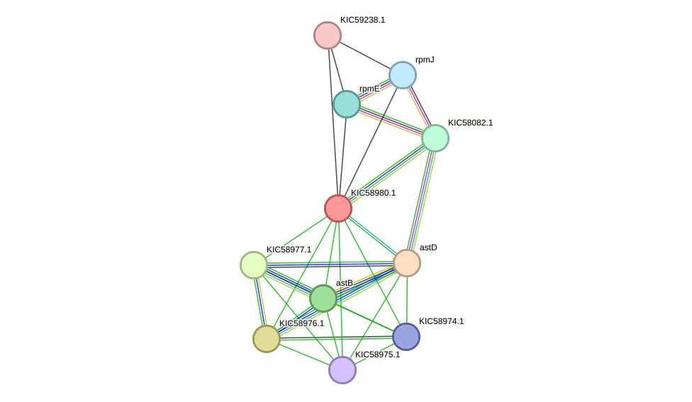 STRING protein interaction network