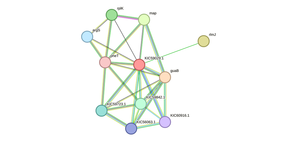 STRING protein interaction network