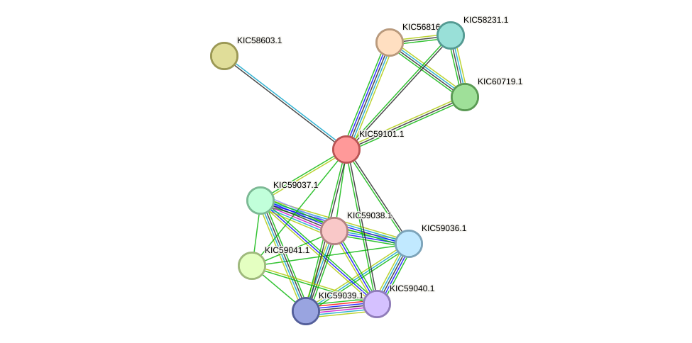 STRING protein interaction network