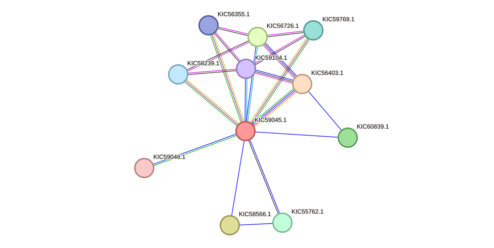 STRING protein interaction network