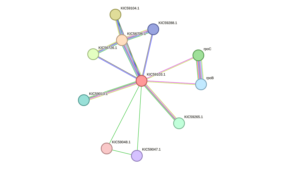 STRING protein interaction network