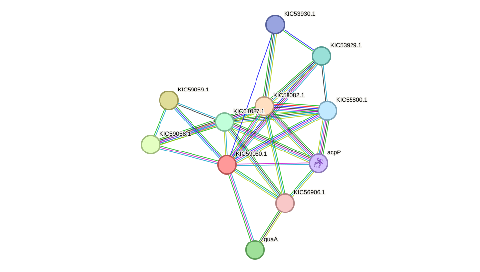 STRING protein interaction network