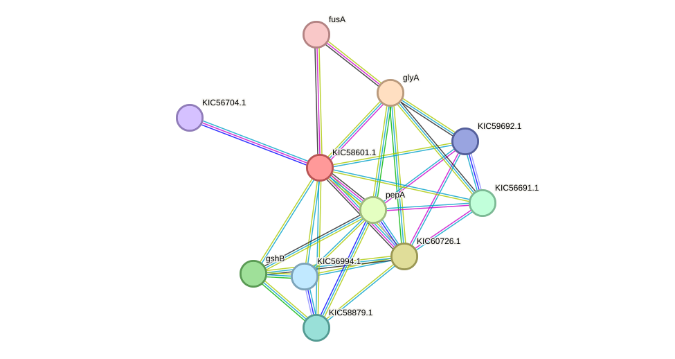 STRING protein interaction network