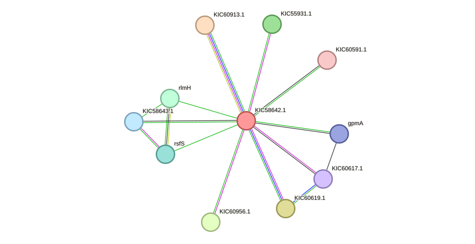STRING protein interaction network