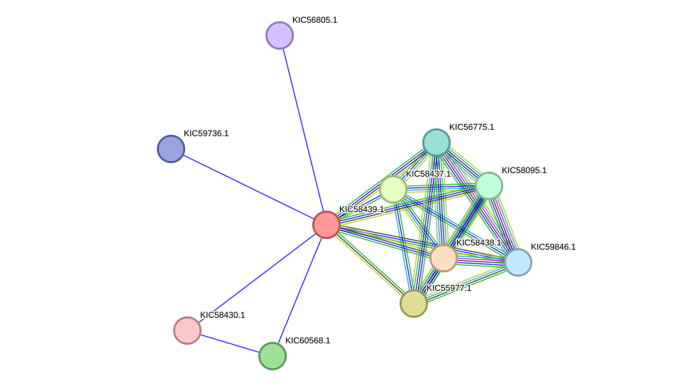 STRING protein interaction network