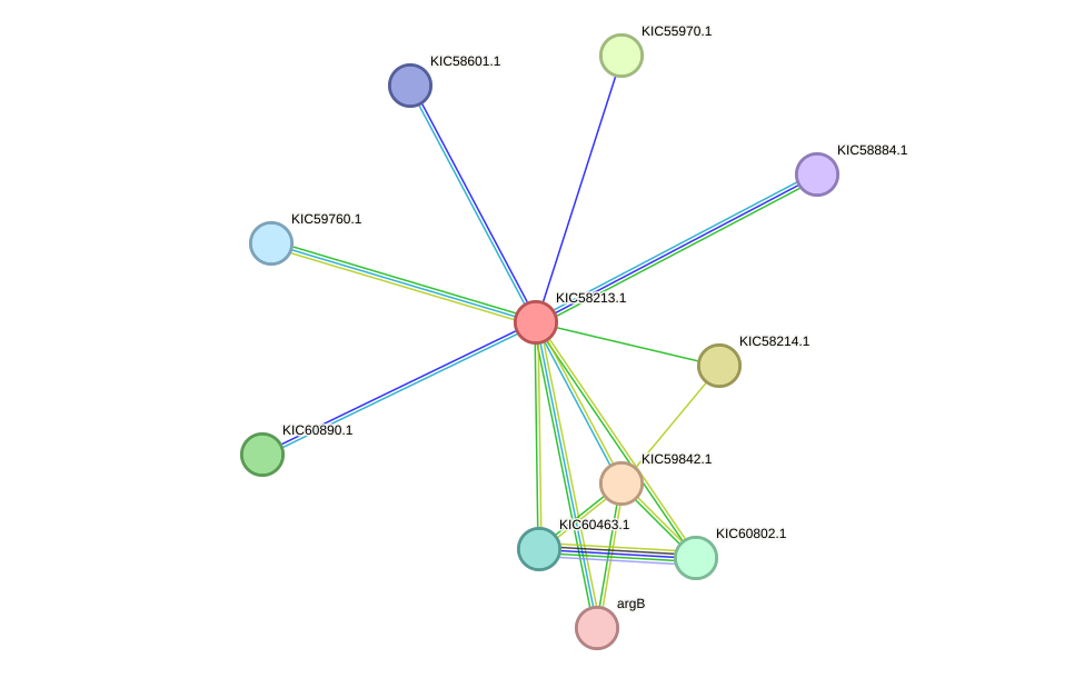 STRING protein interaction network