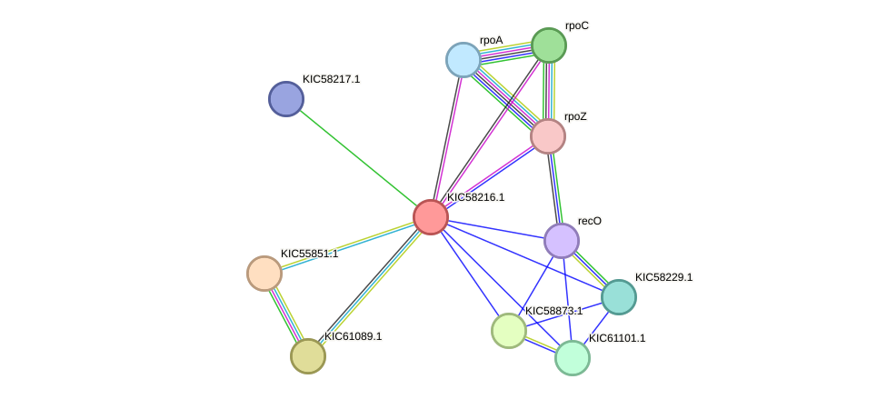 STRING protein interaction network