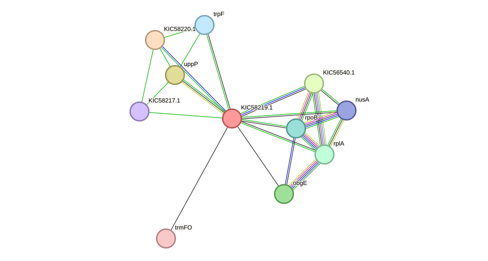 STRING protein interaction network