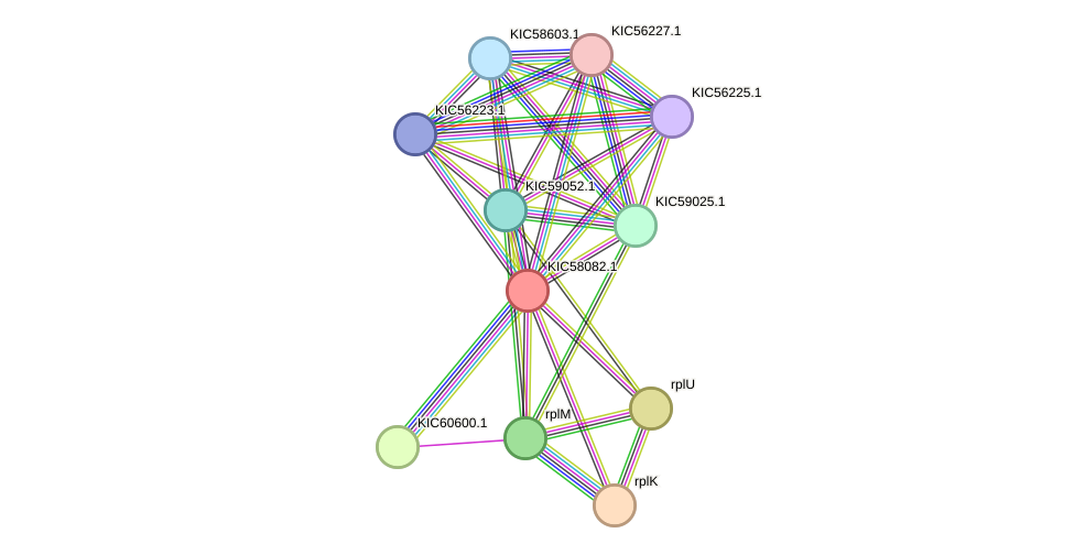 STRING protein interaction network