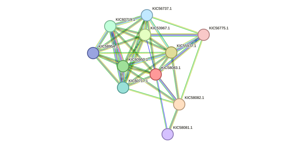 STRING protein interaction network