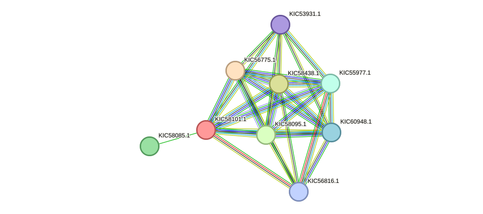 STRING protein interaction network
