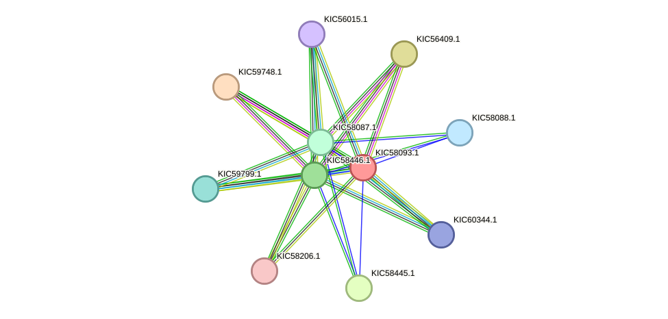 STRING protein interaction network