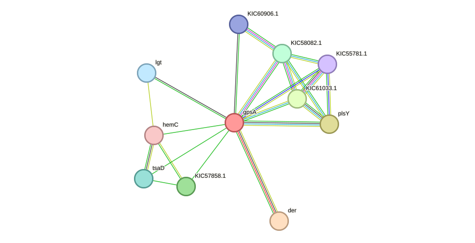 STRING protein interaction network