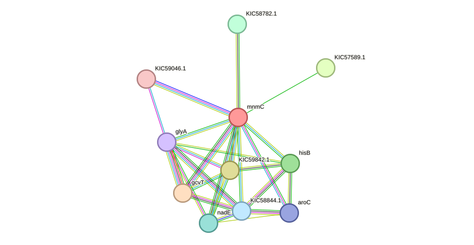 STRING protein interaction network