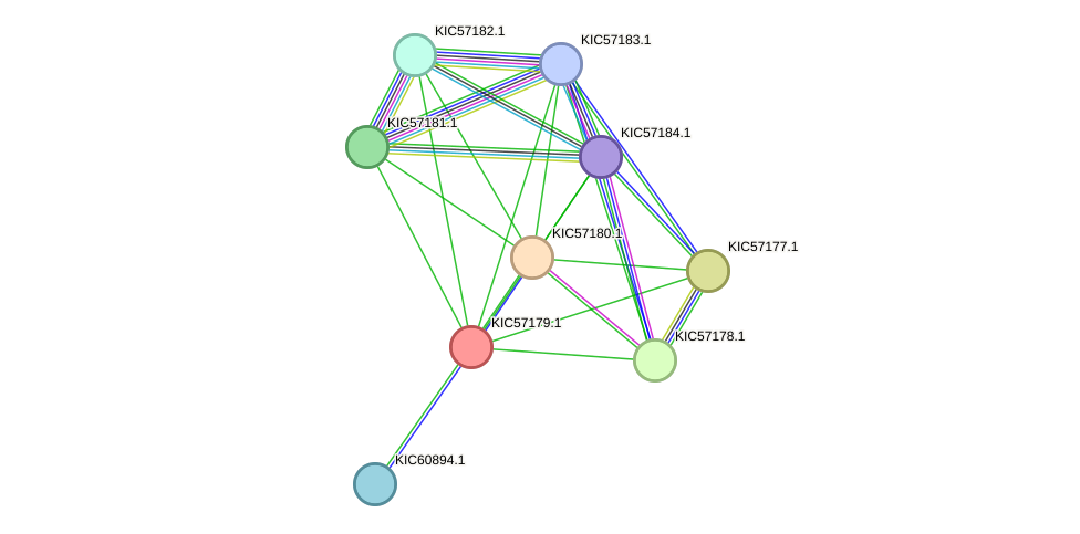 STRING protein interaction network