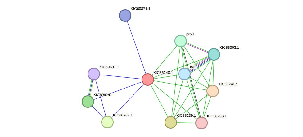STRING protein interaction network