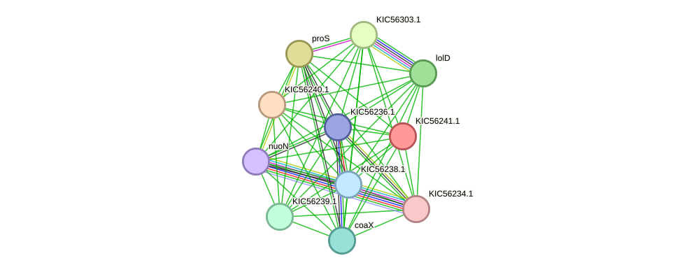 STRING protein interaction network