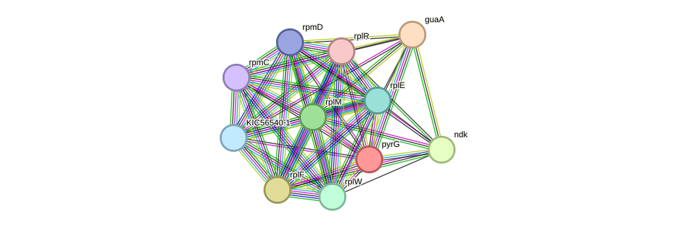 STRING protein interaction network