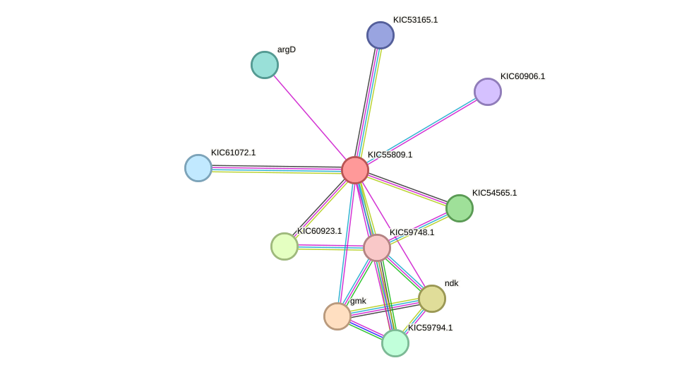 STRING protein interaction network