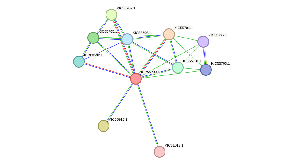 STRING protein interaction network