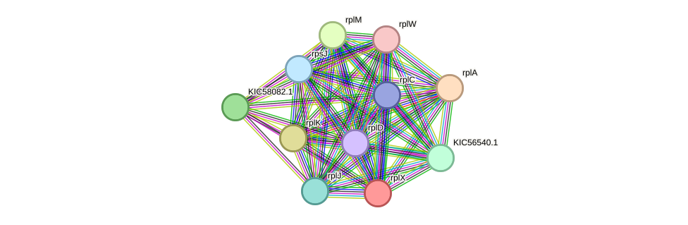 STRING protein interaction network
