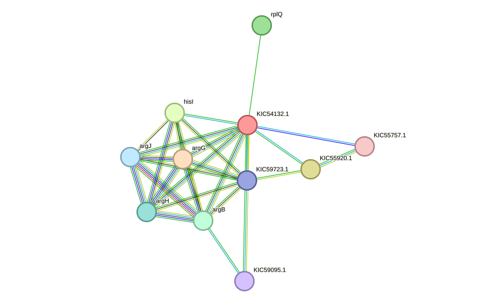 STRING protein interaction network