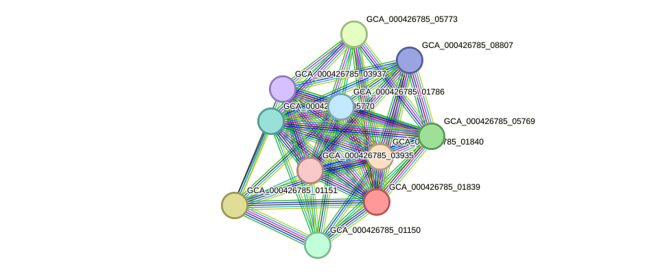 STRING protein interaction network