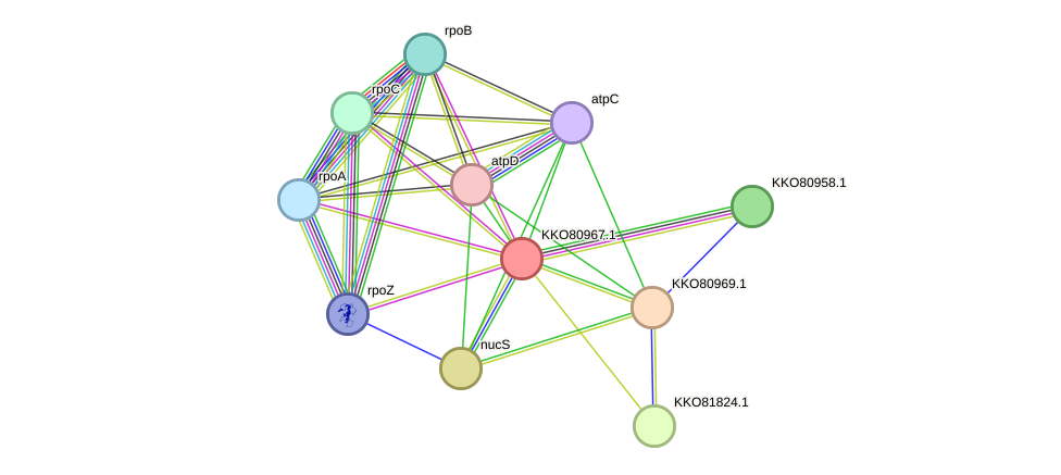 STRING protein interaction network