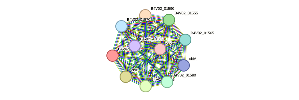 STRING protein interaction network