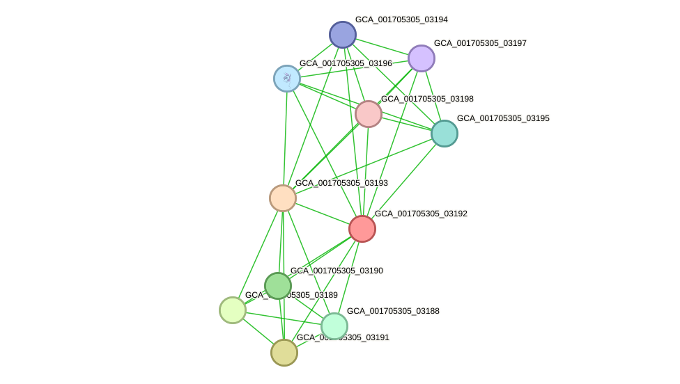 STRING protein interaction network