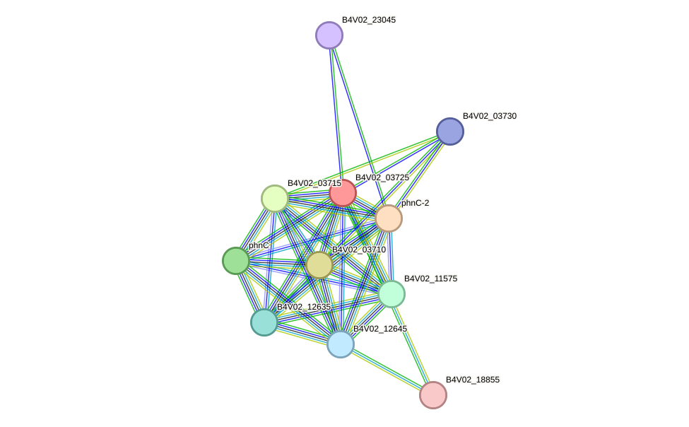 STRING protein interaction network