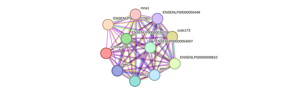 STRING protein interaction network