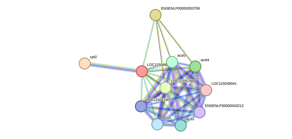 STRING protein interaction network