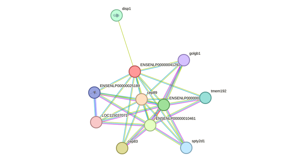 STRING protein interaction network