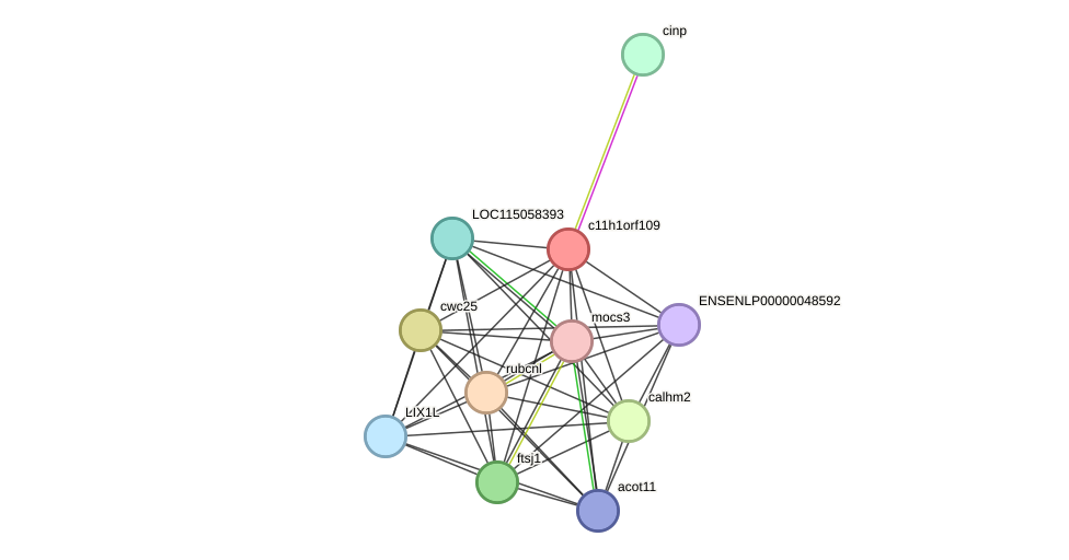 STRING protein interaction network