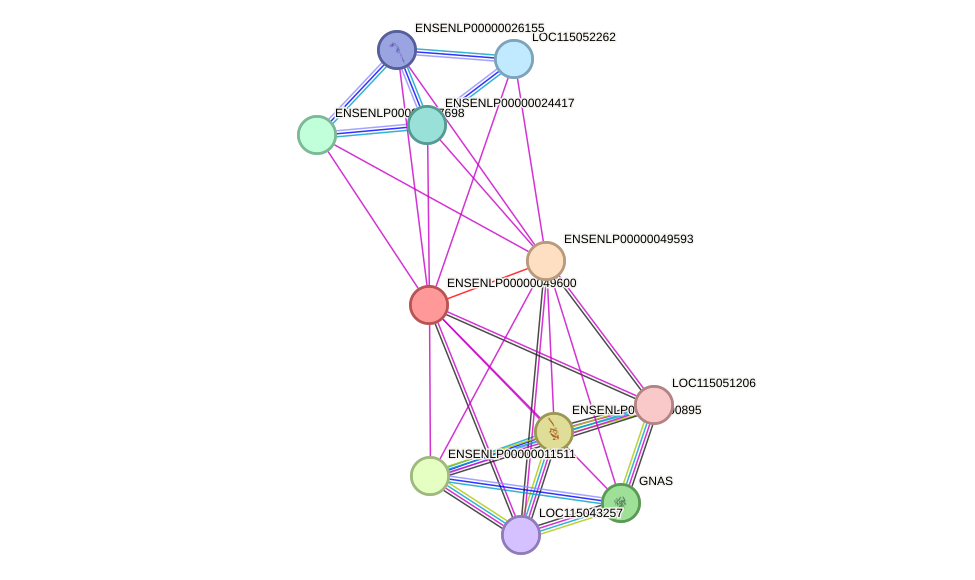 STRING protein interaction network