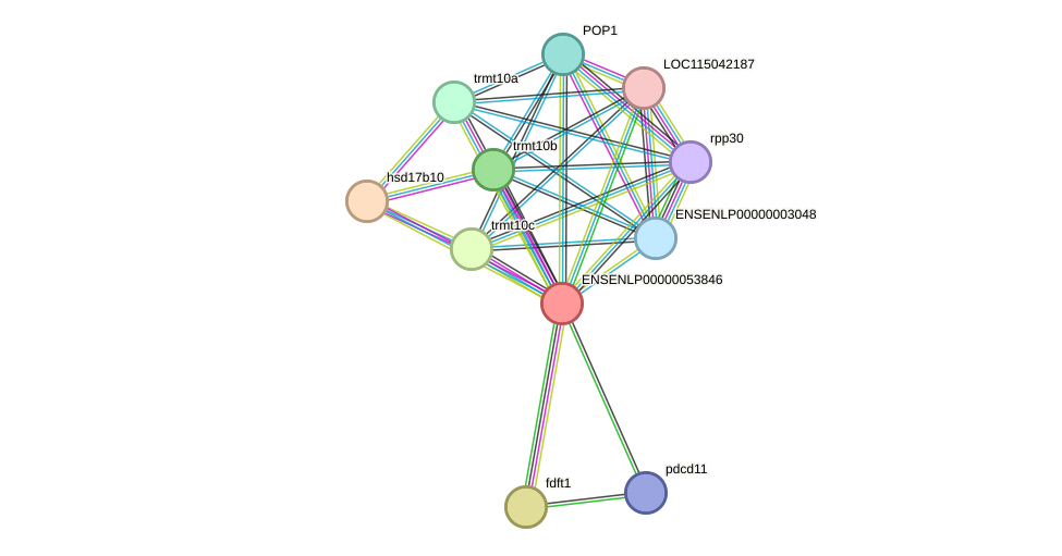 STRING protein interaction network