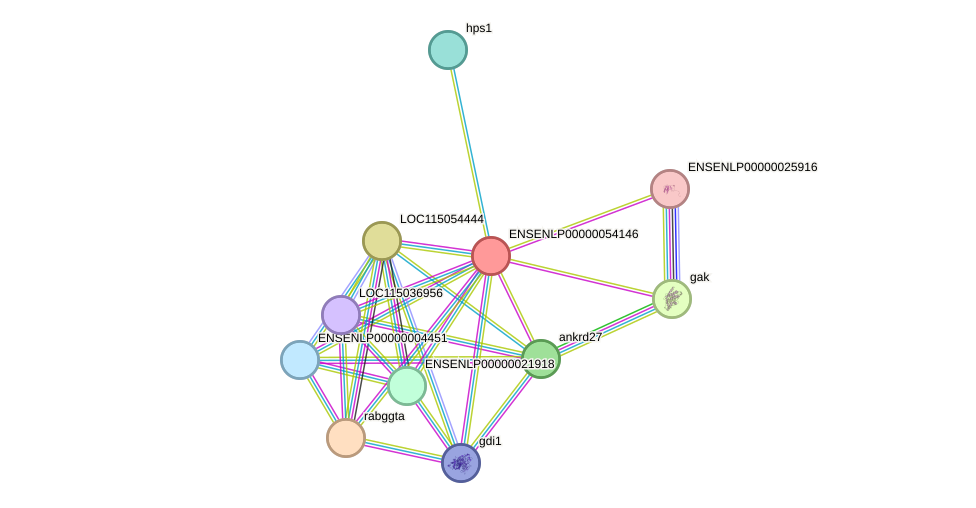 STRING protein interaction network